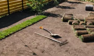 Czym wyrównać teren wokół domu, aby uniknąć problemów z wodą?