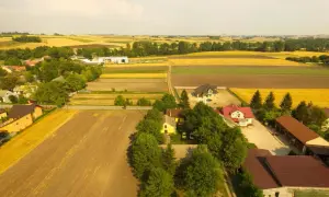Jakie dokumenty do kupna działki rolnej? Sprawdź, by uniknąć problemów